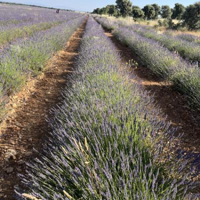 20250628 074725659 Ios