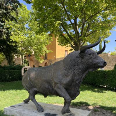 20250628 095957480 Ios