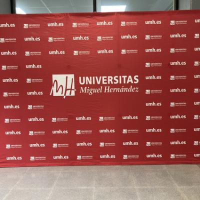 Mod 20240618 070845873 Ios