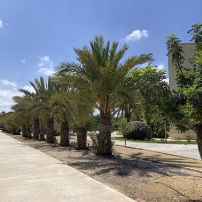 Mod 20240618 134457025 Ios