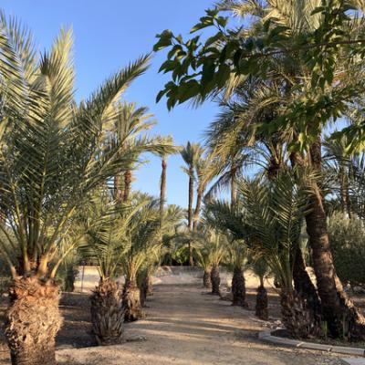 Mod 20240618 182449445 Ios