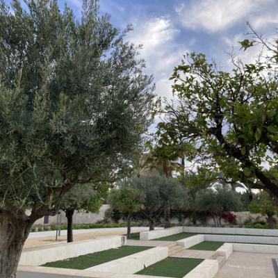 Mod 20240619 181908236 Ios