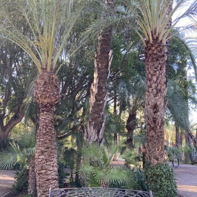 Mod 20240620 174309406 Ios