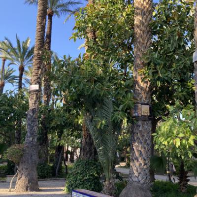 Mod 20240620 174453073 Ios