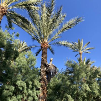 Mod 20240620 175303025 Ios