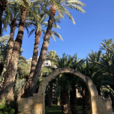 Mod 20240620 175927183 Ios