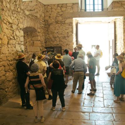 Mod Img 0344 Enhanced Nr